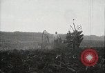 Standbild Zuckerrohr Felder Hawaii USA, 1916, aus Sekunde 8 historischem Filmmaterial Videoclip 65675022626