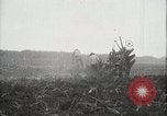 Standbild Zuckerrohr Felder Hawaii USA, 1916, aus Sekunde 9 historischem Filmmaterial Videoclip 65675022626