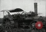 Standbild Zuckerrohr Felder Hawaii USA, 1916, aus Sekunde 12 historischem Filmmaterial Videoclip 65675022626
