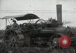 Standbild Zuckerrohr Felder Hawaii USA, 1916, aus Sekunde 13 historischem Filmmaterial Videoclip 65675022626