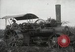 Standbild Zuckerrohr Felder Hawaii USA, 1916, aus Sekunde 14 historischem Filmmaterial Videoclip 65675022626