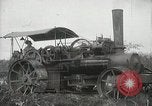 Standbild Zuckerrohr Felder Hawaii USA, 1916, aus Sekunde 15 historischem Filmmaterial Videoclip 65675022626