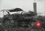 Standbild Zuckerrohr Felder Hawaii USA, 1916, aus Sekunde 16 historischem Filmmaterial Videoclip 65675022626