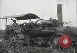 Standbild Zuckerrohr Felder Hawaii USA, 1916, aus Sekunde 17 historischem Filmmaterial Videoclip 65675022626