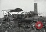 Standbild Zuckerrohr Felder Hawaii USA, 1916, aus Sekunde 18 historischem Filmmaterial Videoclip 65675022626