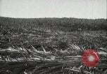 Standbild Zuckerrohr Felder Hawaii USA, 1916, aus Sekunde 20 historischem Filmmaterial Videoclip 65675022626