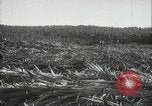 Standbild Zuckerrohr Felder Hawaii USA, 1916, aus Sekunde 21 historischem Filmmaterial Videoclip 65675022626
