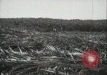 Standbild Zuckerrohr Felder Hawaii USA, 1916, aus Sekunde 23 historischem Filmmaterial Videoclip 65675022626