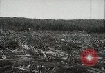 Standbild Zuckerrohr Felder Hawaii USA, 1916, aus Sekunde 26 historischem Filmmaterial Videoclip 65675022626