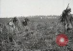 Standbild Zuckerrohr Felder Hawaii USA, 1916, aus Sekunde 61 historischem Filmmaterial Videoclip 65675022626