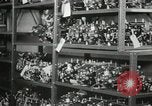 Standbild Hawaiian Männer Hawaii USA, 1944, aus Sekunde 23 historischem Filmmaterial Videoclip 65675022639