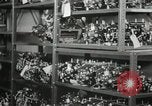 Standbild Hawaiian Männer Hawaii USA, 1944, aus Sekunde 29 historischem Filmmaterial Videoclip 65675022639