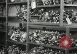 Standbild Hawaiian Männer Hawaii USA, 1944, aus Sekunde 31 historischem Filmmaterial Videoclip 65675022639