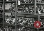 Standbild Hawaiian Männer Hawaii USA, 1944, aus Sekunde 32 historischem Filmmaterial Videoclip 65675022639