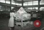 Image of Hawaiian woman Hawaii USA, 1944, second 36 stock footage video 65675022647
