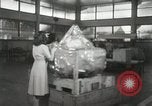 Image of Hawaiian woman Hawaii USA, 1944, second 40 stock footage video 65675022647