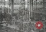 Image of B-24 Liberator aircraft Hawaii USA, 1944, second 7 stock footage video 65675022649