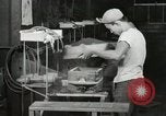 Image of Hawaiian workmen Hawaii USA, 1944, second 18 stock footage video 65675022650