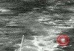 Image of sailing and palm trees Hawaii USA, 1937, second 3 stock footage video 65675022651