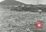 Image of Hawaiian workers Hawaii USA, 1937, second 1 stock footage video 65675022652