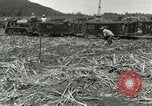 Image of Hawaiian workers Hawaii USA, 1937, second 3 stock footage video 65675022652