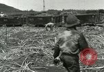 Image of Hawaiian workers Hawaii USA, 1937, second 5 stock footage video 65675022652