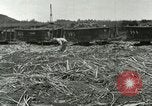 Image of Hawaiian workers Hawaii USA, 1937, second 7 stock footage video 65675022652