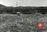 Image of Hawaiian workers Hawaii USA, 1937, second 8 stock footage video 65675022652