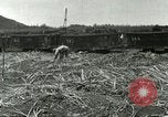 Image of Hawaiian workers Hawaii USA, 1937, second 9 stock footage video 65675022652