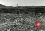 Image of Hawaiian workers Hawaii USA, 1937, second 10 stock footage video 65675022652