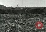 Image of Hawaiian workers Hawaii USA, 1937, second 12 stock footage video 65675022652