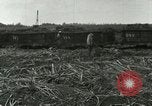 Image of Hawaiian workers Hawaii USA, 1937, second 13 stock footage video 65675022652