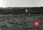 Image of Hawaiian workers Hawaii USA, 1937, second 14 stock footage video 65675022652