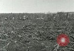 Image of Hawaiian workers Hawaii USA, 1937, second 36 stock footage video 65675022652
