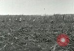 Image of Hawaiian workers Hawaii USA, 1937, second 41 stock footage video 65675022652