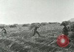 Image of Hawaiian workers Hawaii USA, 1937, second 56 stock footage video 65675022652