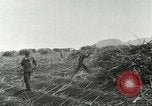 Image of Hawaiian workers Hawaii USA, 1937, second 58 stock footage video 65675022652