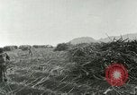 Image of Hawaiian workers Hawaii USA, 1937, second 59 stock footage video 65675022652