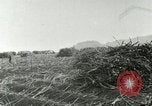 Image of Hawaiian workers Hawaii USA, 1937, second 61 stock footage video 65675022652