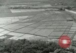 Image of Hawaiian workers Hawaii USA, 1937, second 3 stock footage video 65675022653