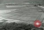 Image of Hawaiian workers Hawaii USA, 1937, second 4 stock footage video 65675022653