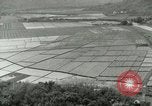 Image of Hawaiian workers Hawaii USA, 1937, second 5 stock footage video 65675022653