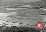 Image of Hawaiian workers Hawaii USA, 1937, second 6 stock footage video 65675022653