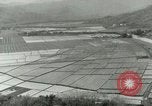 Image of Hawaiian workers Hawaii USA, 1937, second 8 stock footage video 65675022653