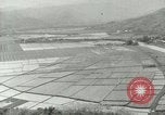 Image of Hawaiian workers Hawaii USA, 1937, second 9 stock footage video 65675022653