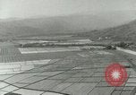 Image of Hawaiian workers Hawaii USA, 1937, second 14 stock footage video 65675022653