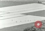 Image of Hawaiian workers Hawaii USA, 1937, second 28 stock footage video 65675022653