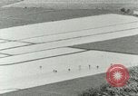 Image of Hawaiian workers Hawaii USA, 1937, second 31 stock footage video 65675022653
