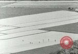 Image of Hawaiian workers Hawaii USA, 1937, second 34 stock footage video 65675022653