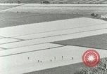 Image of Hawaiian workers Hawaii USA, 1937, second 35 stock footage video 65675022653